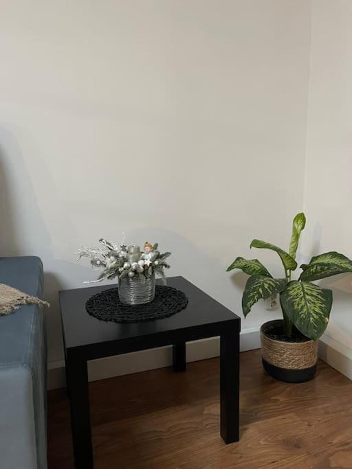 Apartament La Casa Timisoara Bagian luar foto